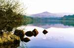 Tranquil Early Morning at Burrator Reservoir (Watercolour Effect)