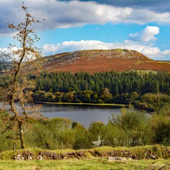 Dartmoor & West Devon