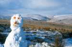 Holming Beam Snowman