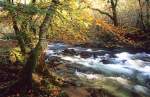 River Walkhanm in  Autumn