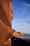 Sidmouth's amazing Red Cliffs